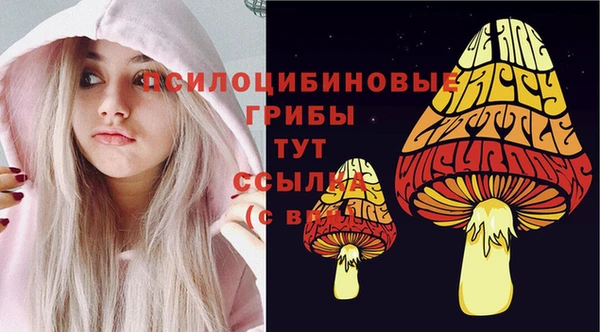 прущая мука Горняк