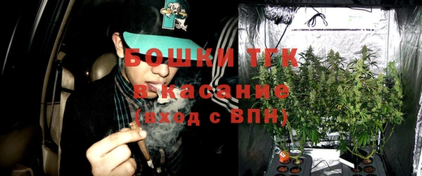 дживик Горнозаводск