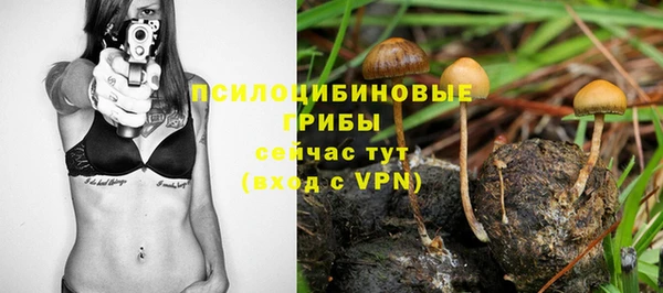 прущая мука Горняк