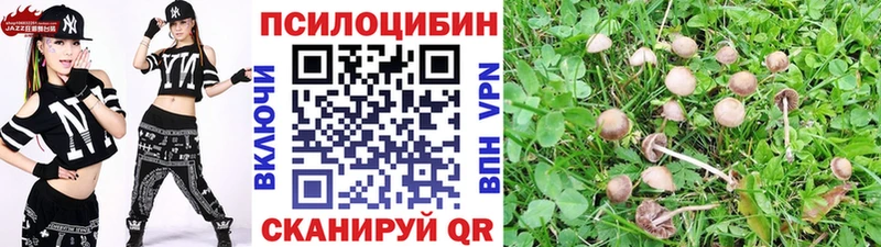 Псилоцибиновые грибы ЛСД  сколько стоит  Гусиноозёрск 