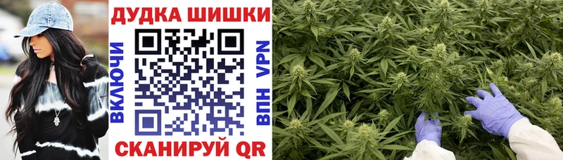 Конопля Ganja  как найти   Гусиноозёрск 